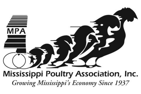 Cleaned and Green Chicken