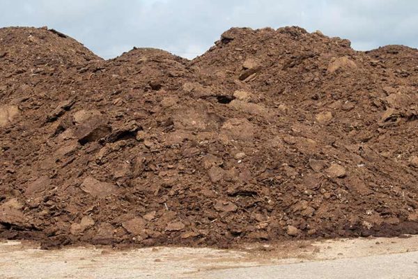 How Safe is Chicken Litter for Land